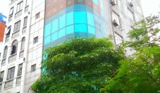 Phong Thủy Ứng Dụng: Khí Trường Cân Bằng – Bước Chuyển Mình Của Doanh Nghiệp Xanh.
