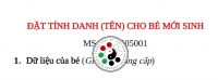 Trong thế giới hiện đại, việc đặt tên và hướng nghiệp không còn là một nghi thức văn hóa đơn lẻ, mà là một hành động triết học.;