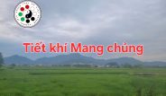 Tiết khí Mang chủng năm Ất Tỵ.