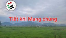 Tiết khí Mang chủng năm Ất Tỵ.