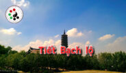 Bạch Lộ 2025 – Khi đất trời nhắn gửi con người bài học thuận tự nhiên.