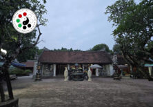 Hành trình về đất Tổ Trần- Kiến tạo từ gốc rễ.