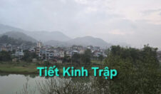 Tiết Kinh Trập năm Bính Ngọ 2026