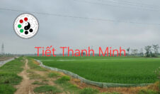 Tiết Thanh Minh năm Bính Ngọ