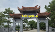 Bạch lộ năm Bính Ngọ.