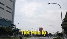 Tiết Hàn Lộ Bính Ngọ 2026